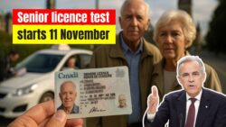 Vision Check Mandatory for 60+ Drivers 2025 – New Licence Testing Rules Begin 11 November 2025 for 60 Plus Drivers