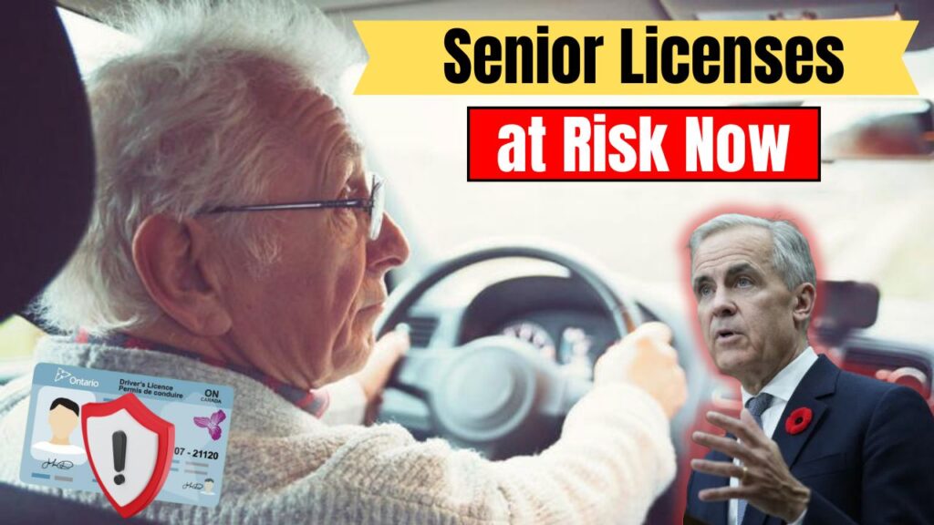 Senior drivers across Canada face stricter renewal checks